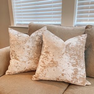 West Elm Lush Velvet Pillow Covers (Set of 2)